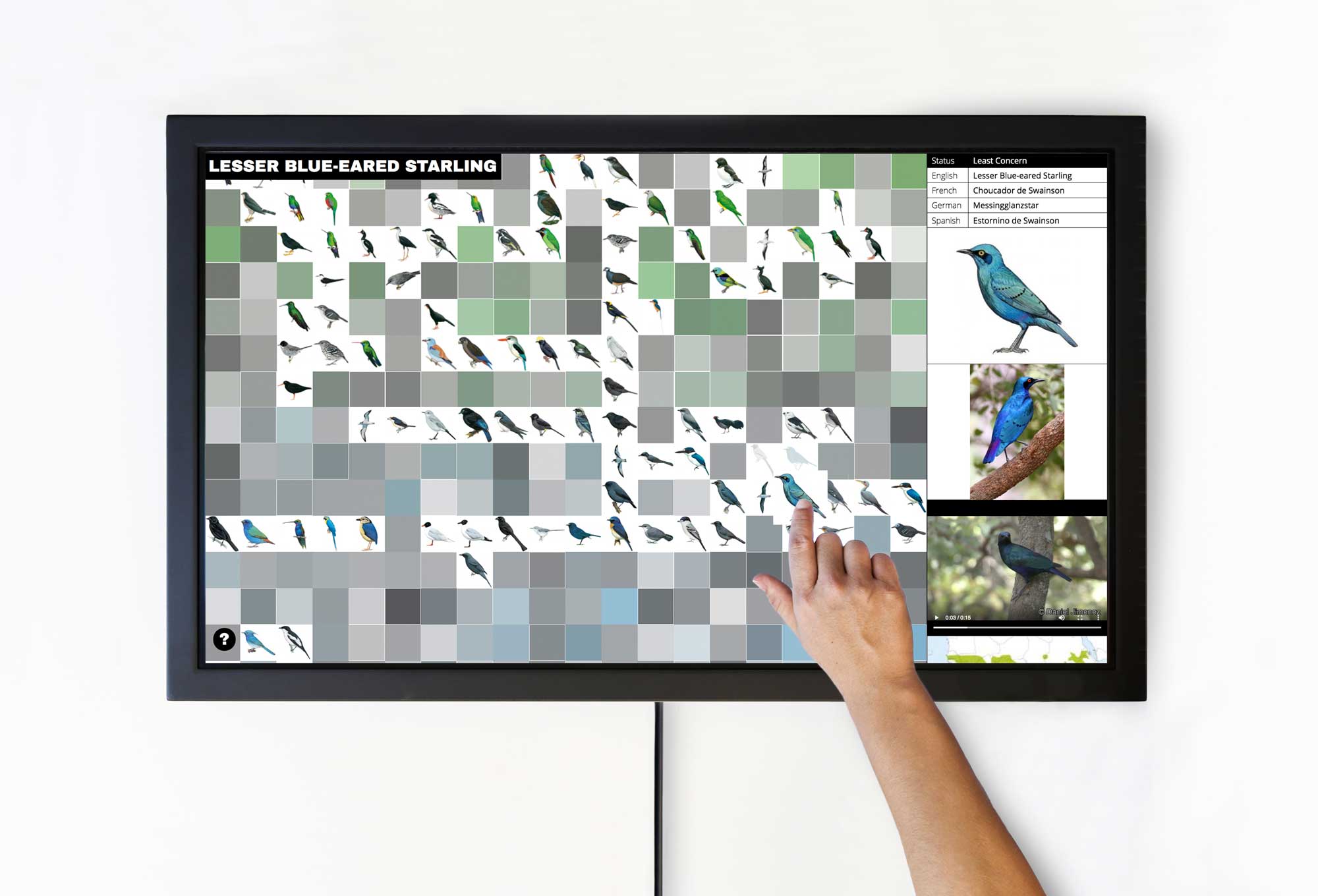 interactive installation